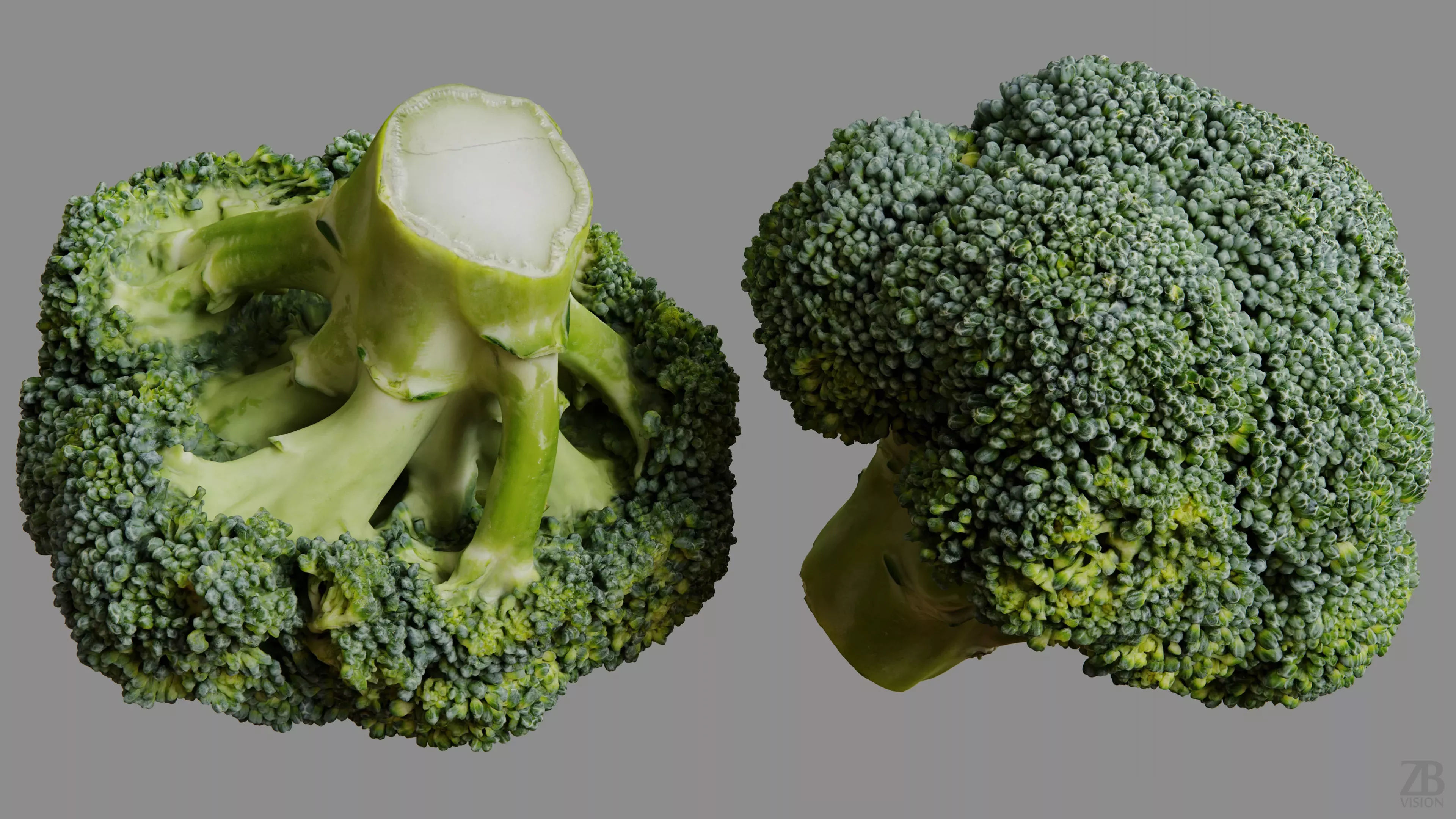 Broccoli 3D model_9