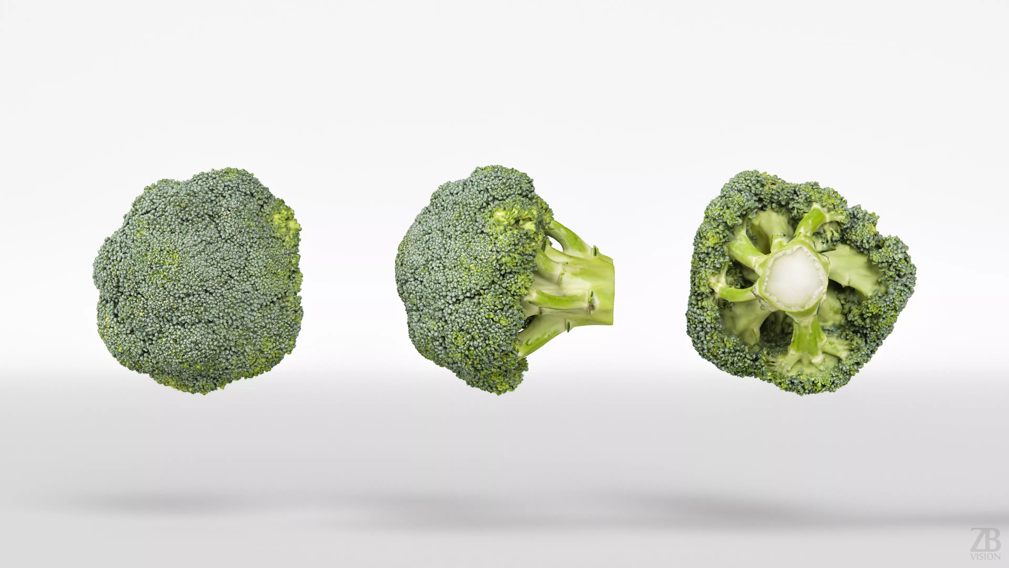 Broccoli 3D model_4