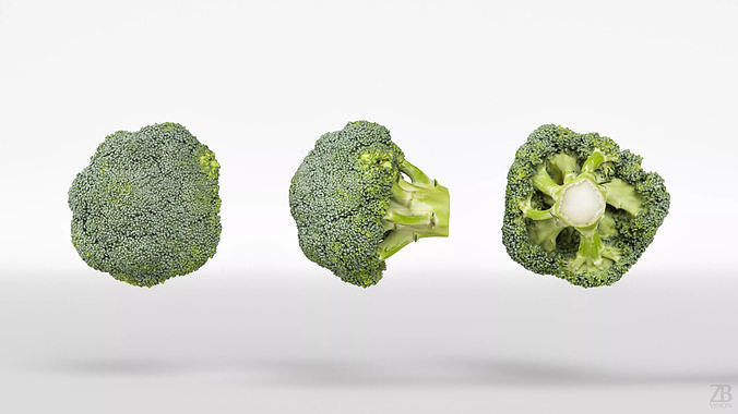 Broccoli 3D model 5