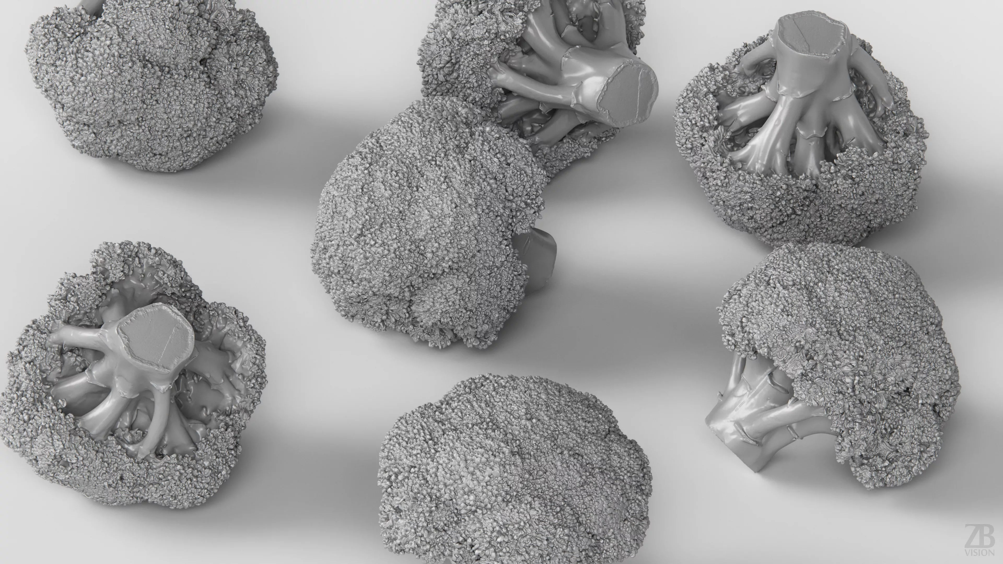 Broccoli 3D model_3