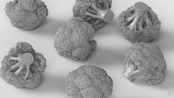 Broccoli 3D model 4