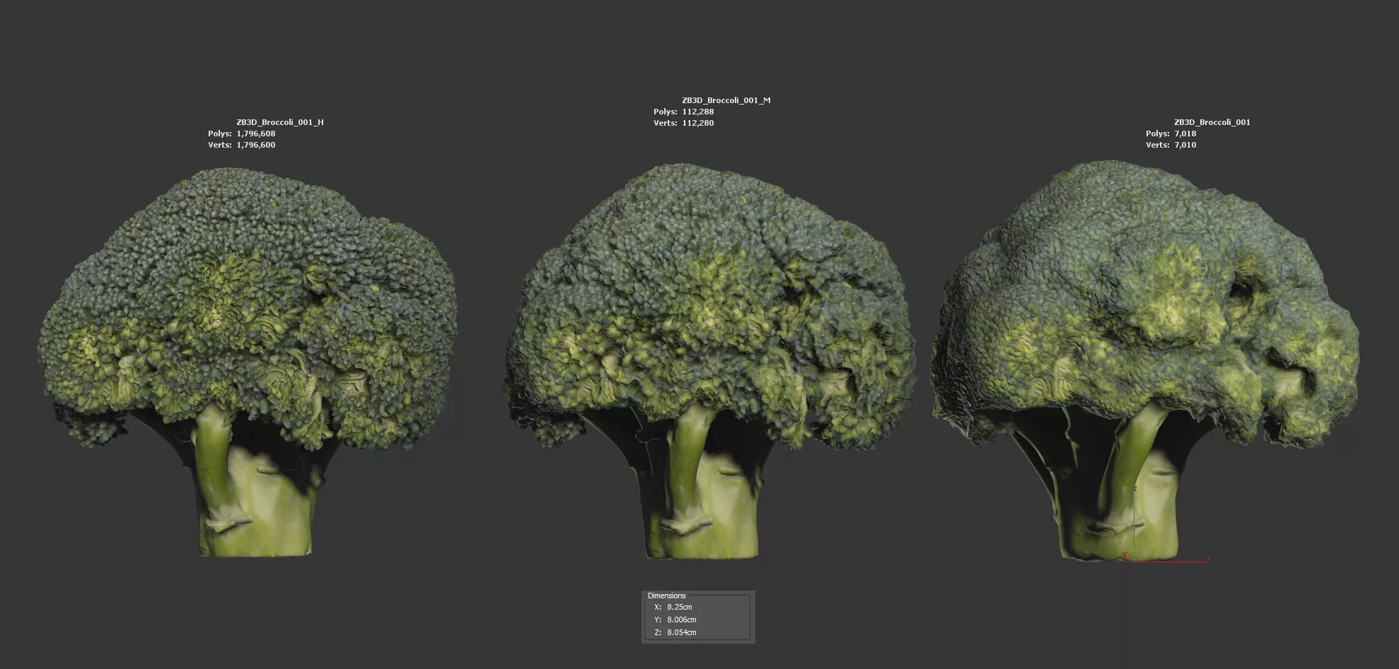 Broccoli 3D model_5