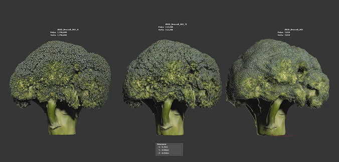 Broccoli 3D model 6