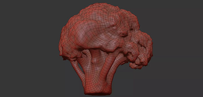 Broccoli 3D model 7