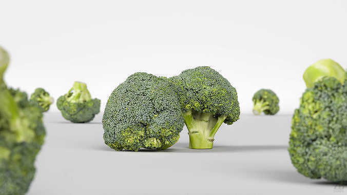 Broccoli 3D model 2