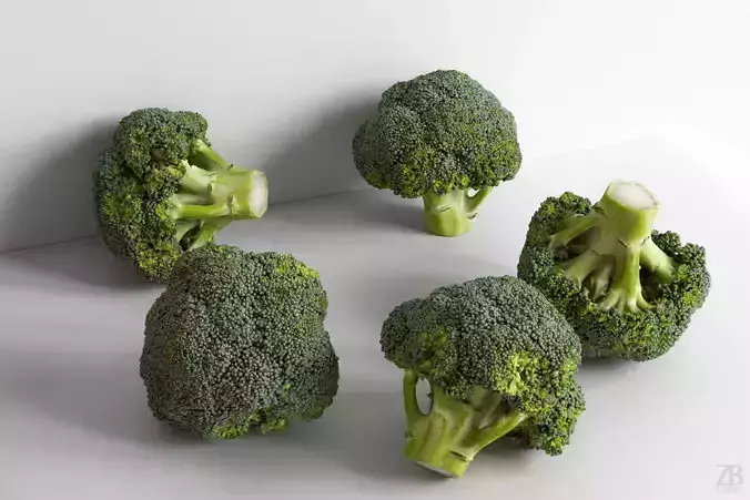 Broccoli 3D model