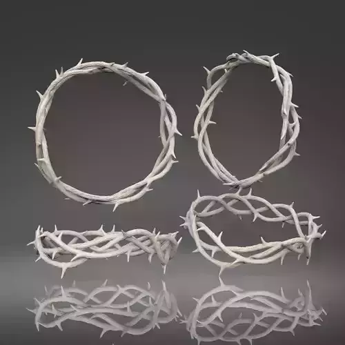 Crown of Thorns Coroa de espinhos 3D print model