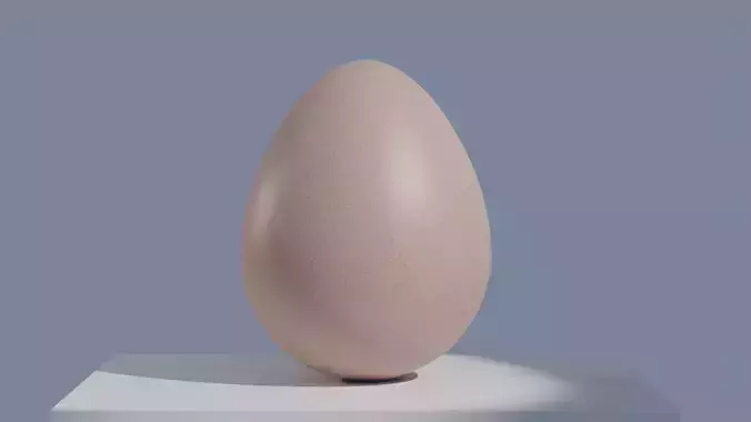 Egg 3D Model 3D model