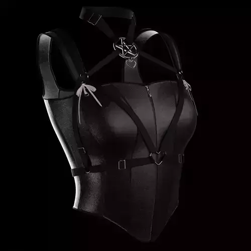 Woman is lingerie with harness