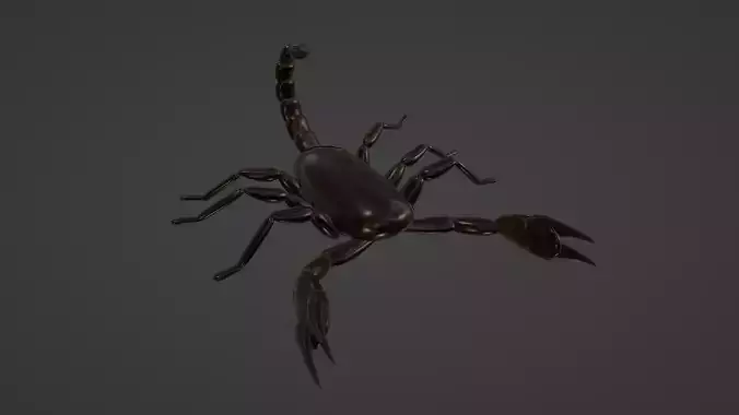 TEXTURED RIGGED AND ANIMATED SCORPION Low-poly 3D model