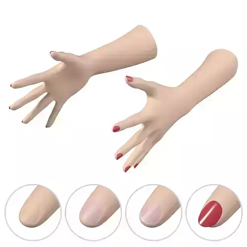 Female Hands Gesture 03 Base Mesh 3D model