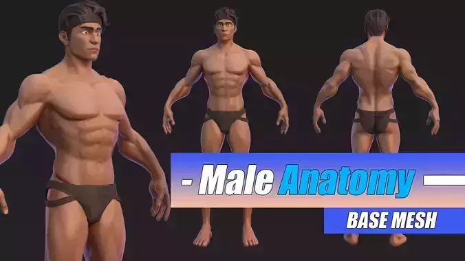 Muscle Male Basemesh Low-poly 3D model
