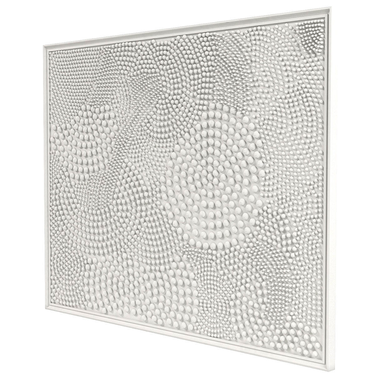 Jane Puylagarde white cosmos 5 3D model_1