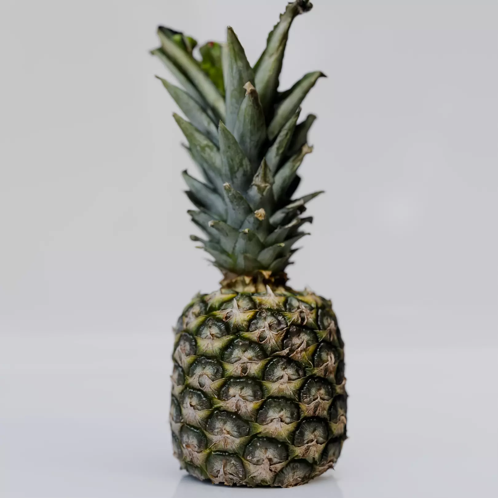 Pineapple Photoscan Free 3D model