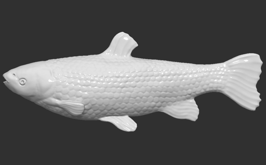 Grass carp fish for 3D printing 3D print model_3