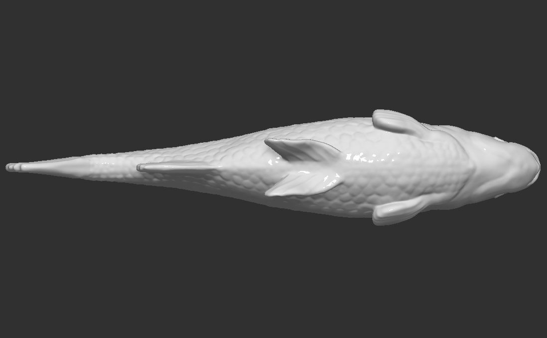 Grass carp fish for 3D printing 3D print model_11