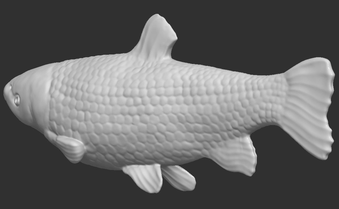 Grass carp fish for 3D printing 3D print model_4