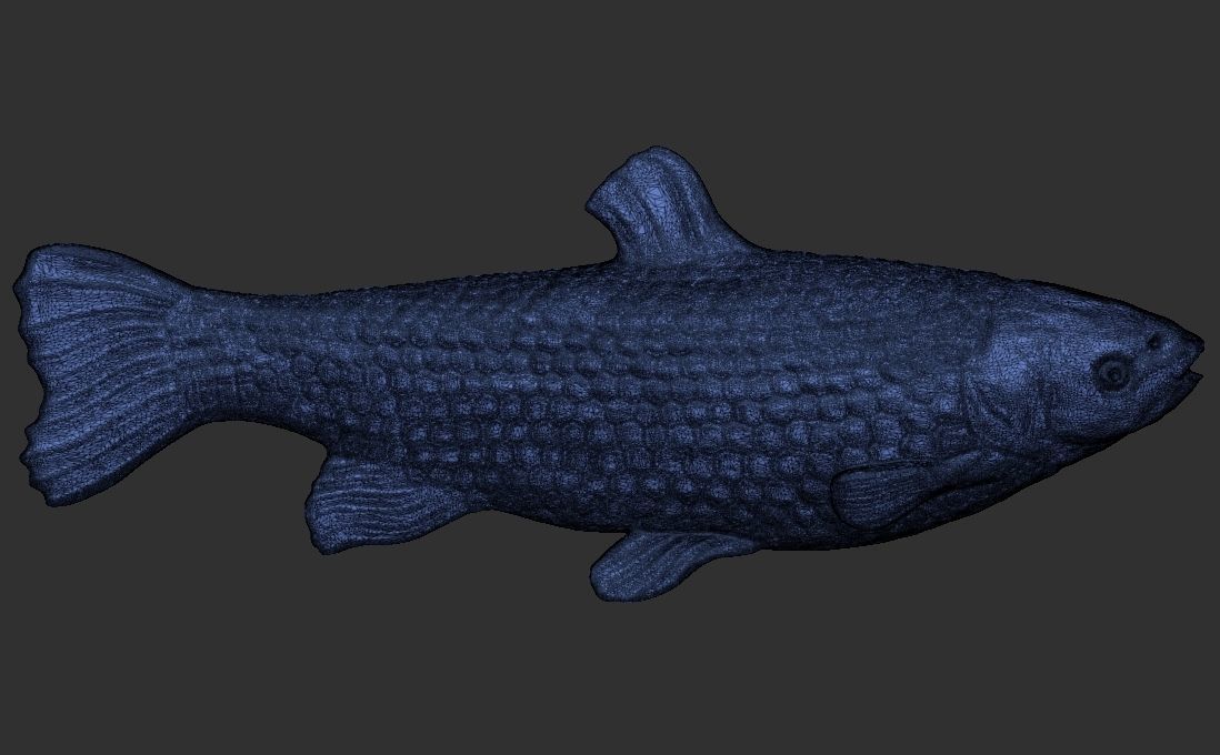 Grass carp fish for 3D printing 3D print model_13