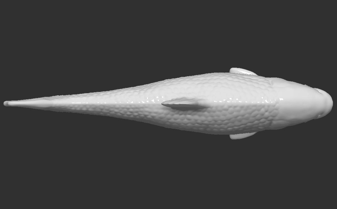 Grass carp fish for 3D printing 3D print model_10