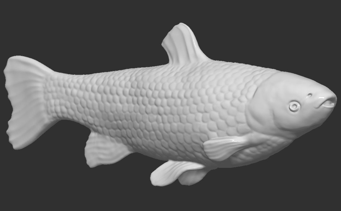 Grass carp fish for 3D printing 3D print model_8