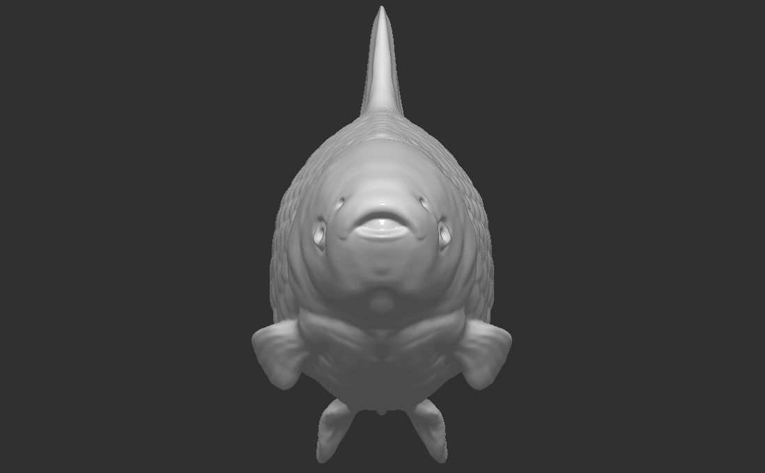 Grass carp fish for 3D printing 3D print model_2
