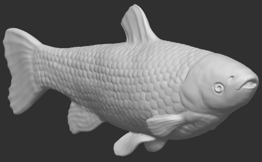 Grass carp fish for 3D printing 3D print model_1
