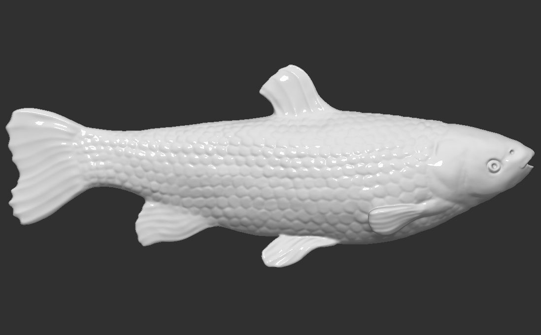 Grass carp fish for 3D printing 3D print model_7