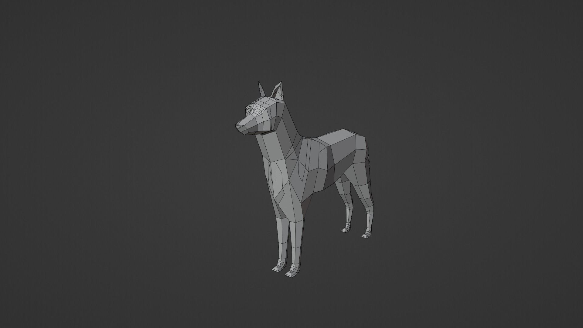 Low poly Belgian Malinois 3D model_1