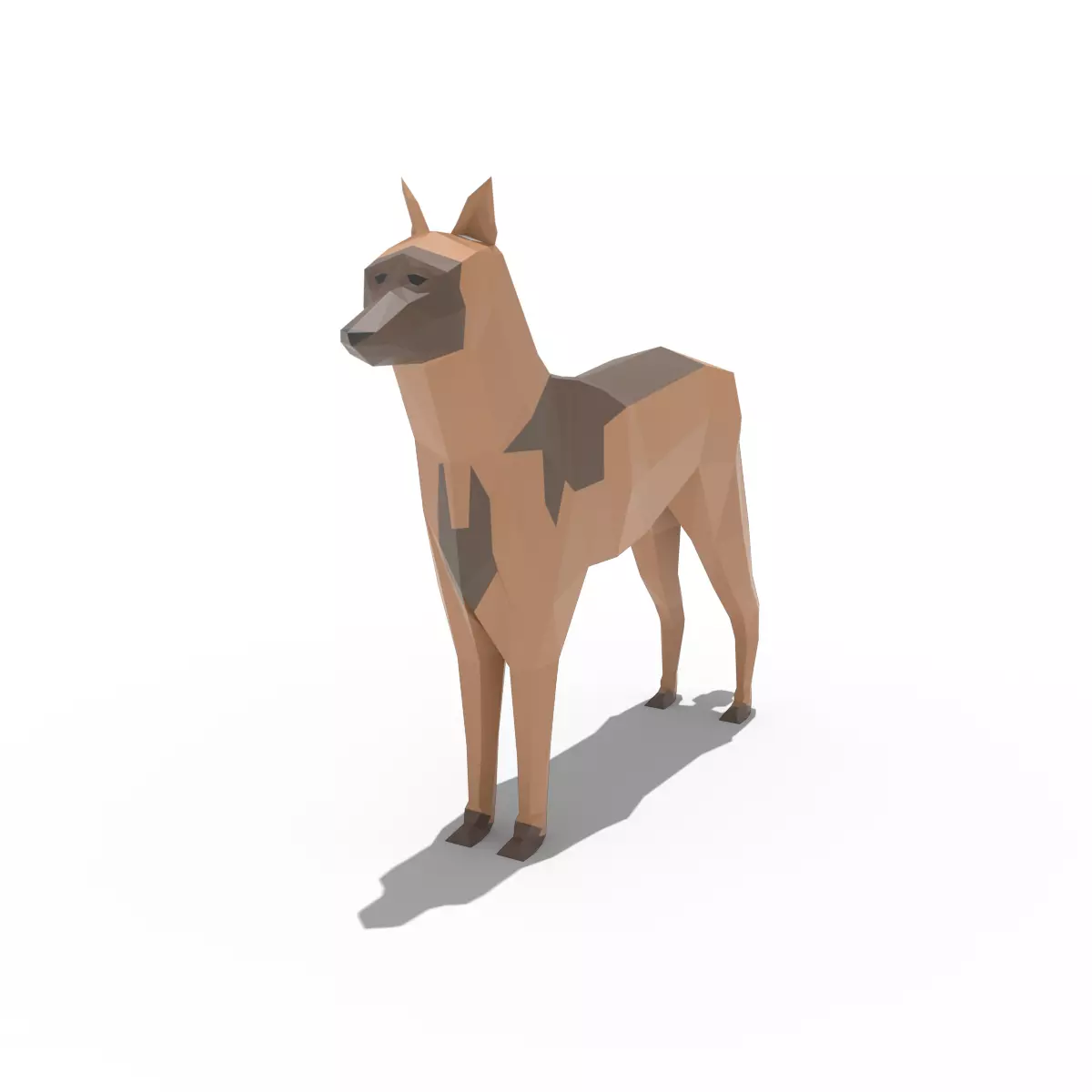Low poly Belgian Malinois 3D model_0