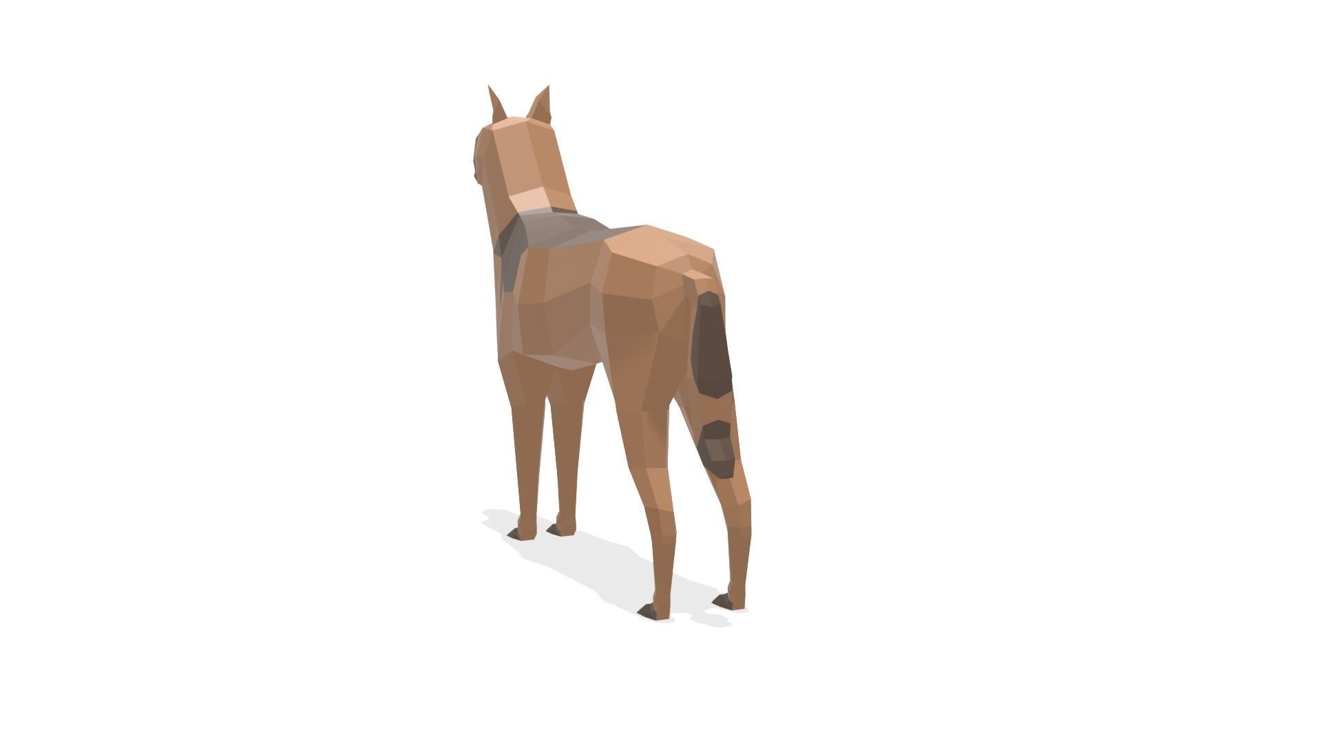 Low poly Belgian Malinois 3D model_4