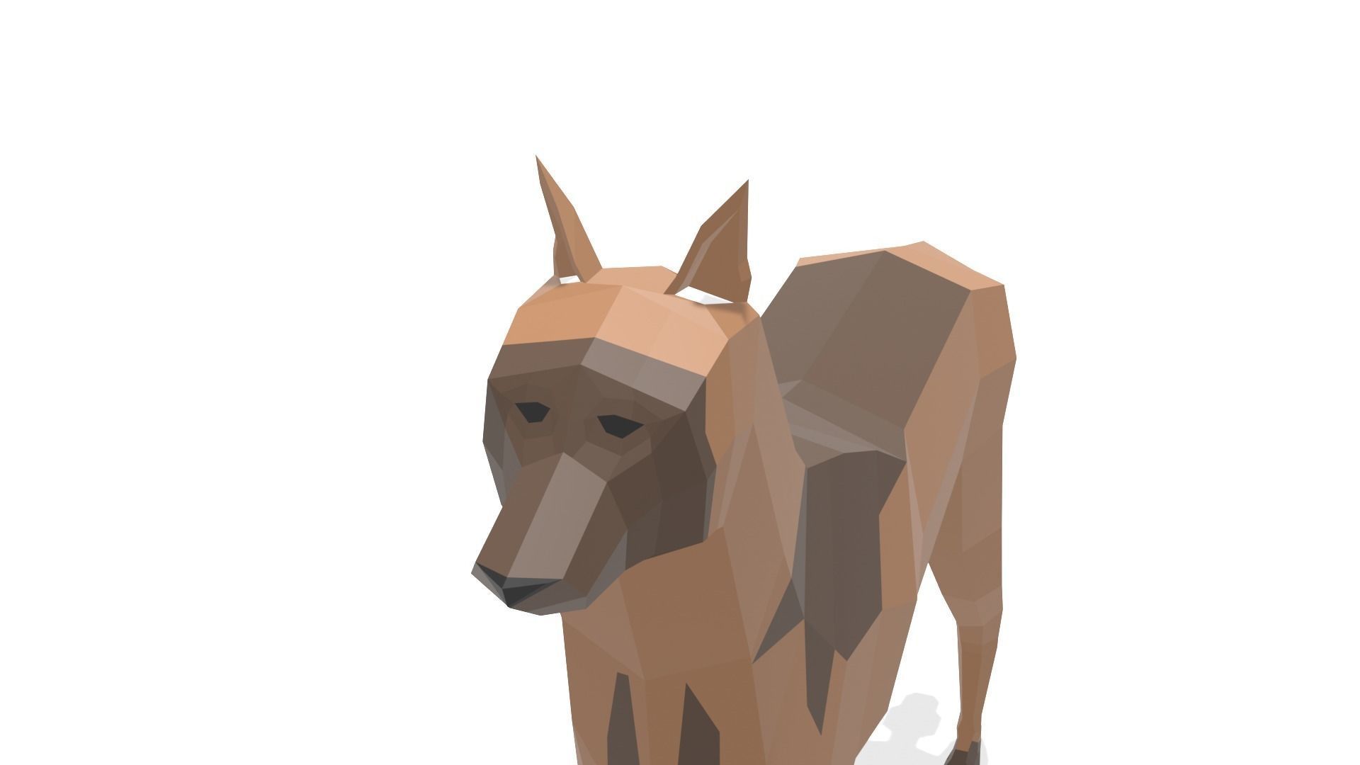 Low poly Belgian Malinois 3D model_7