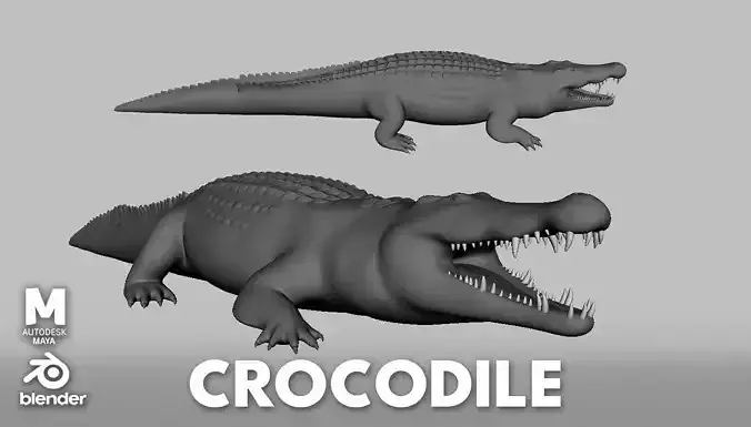 Crocodile Model Low-poly 3D model