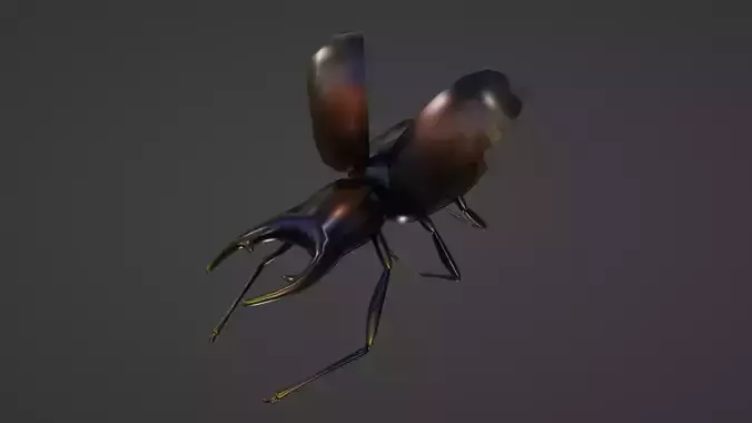 RIGED AND ANIMATED BEETLE