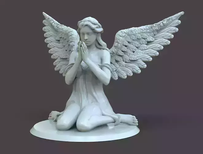 Beautiful Angel Praying
