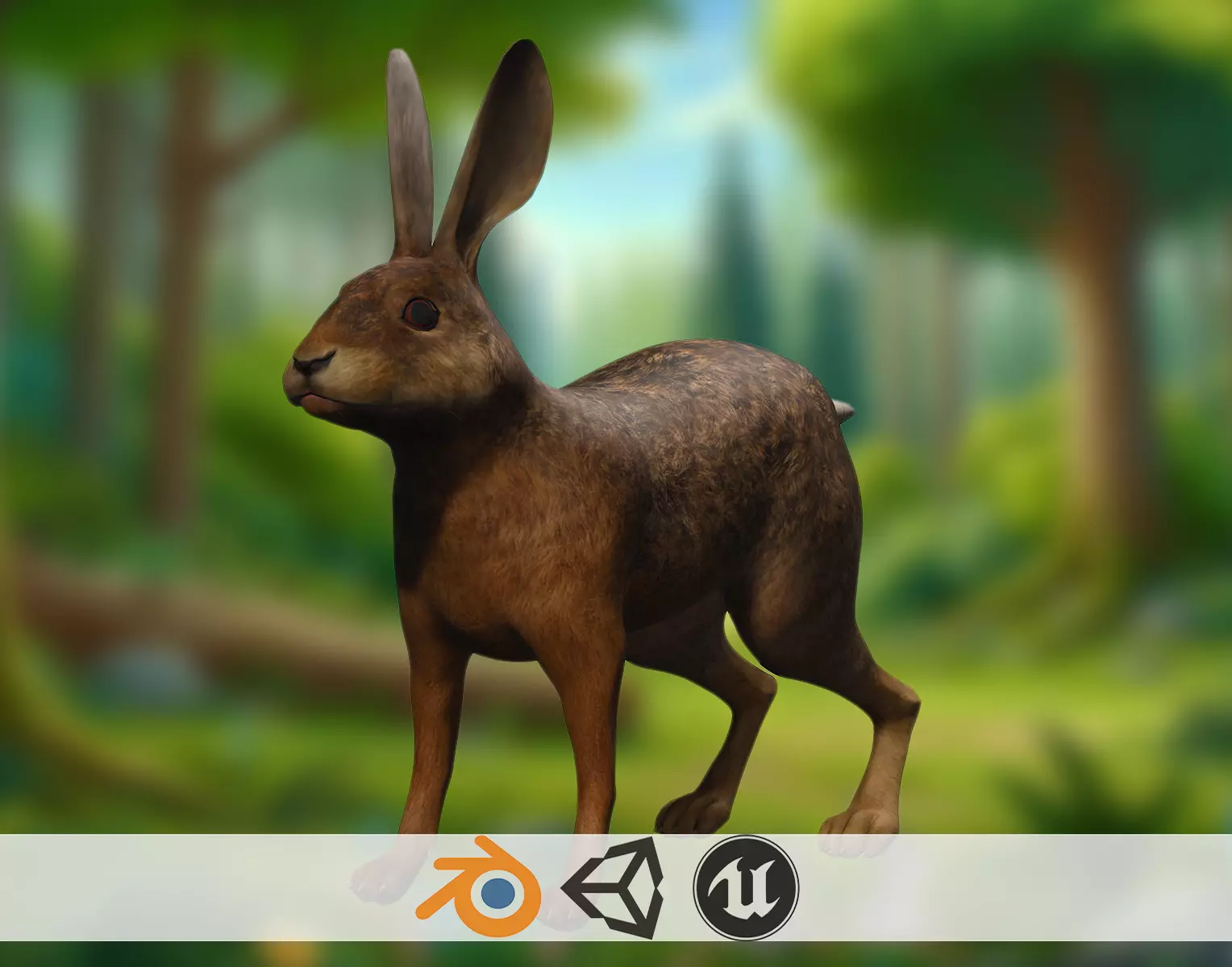Realistic Rabbit 3D Model Low-poly 3D model