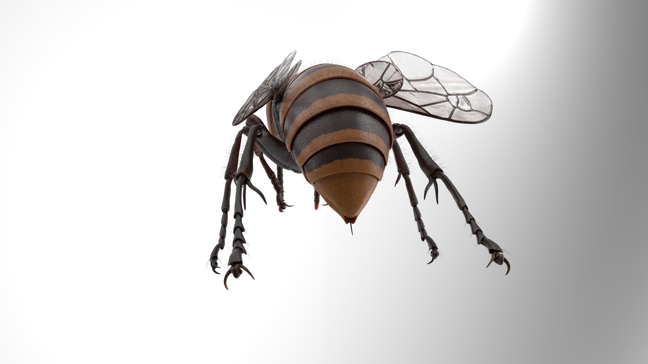 Vespa Mandarinia Rigged 3D model rigged CGTrader