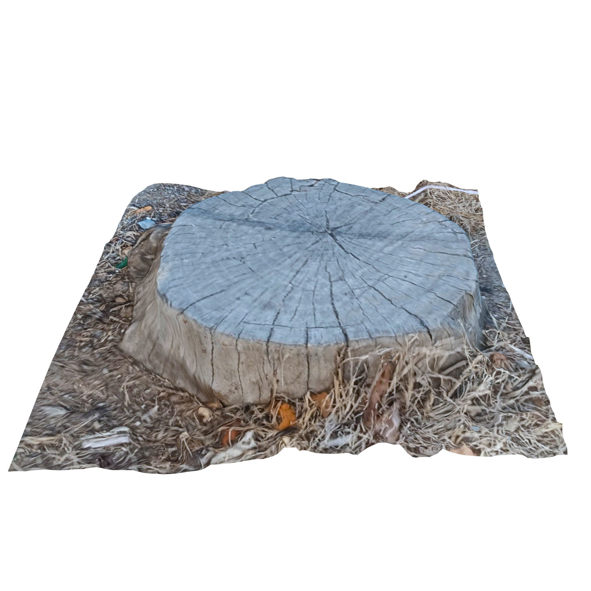 trunk 85 3D model_2