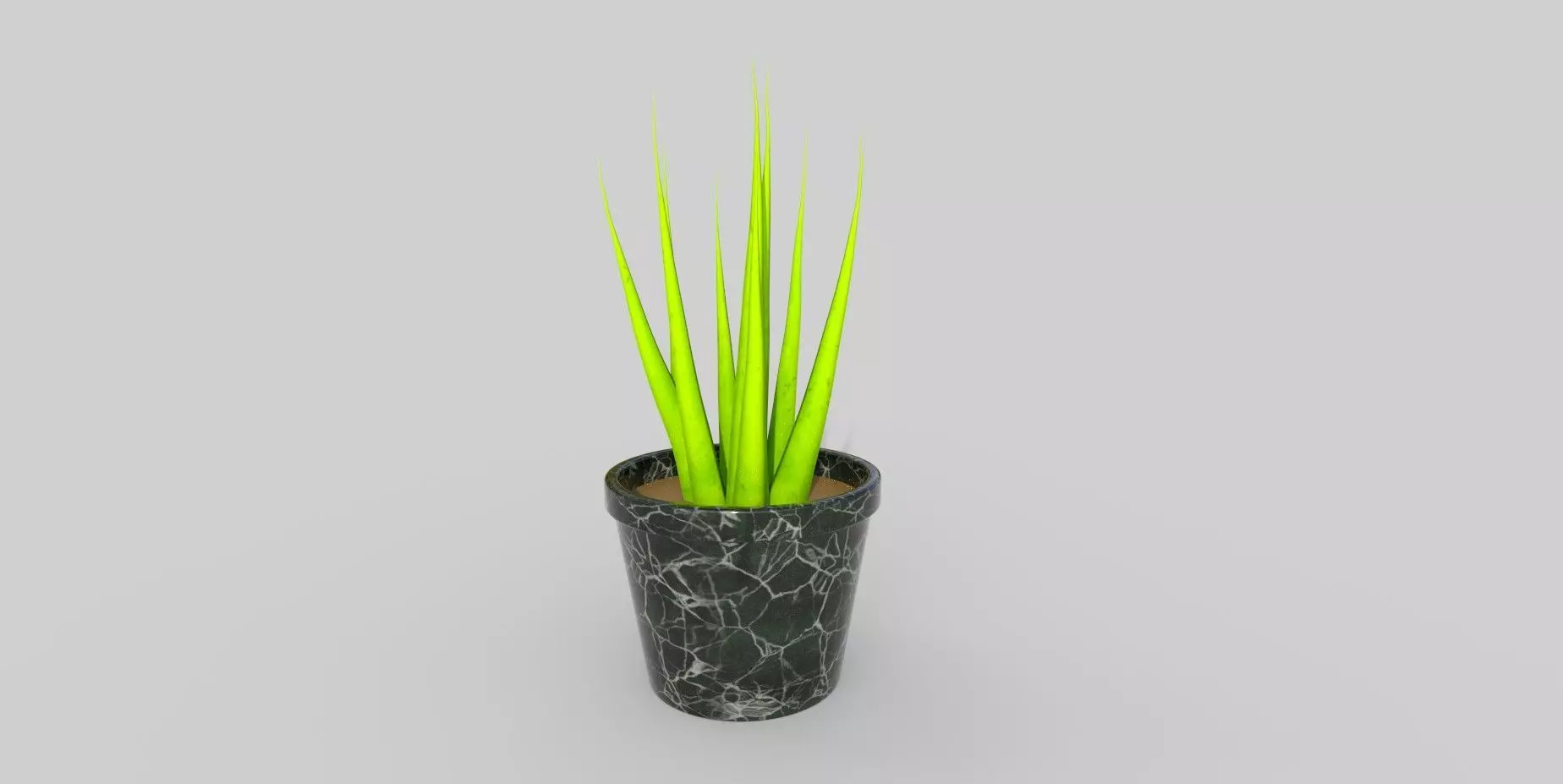Potted Plant Free 3D model_0