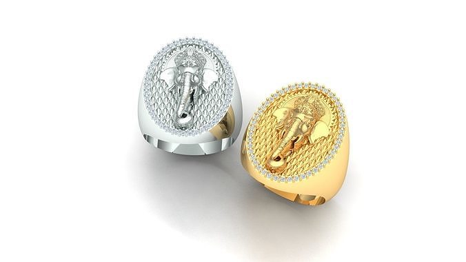 Elephant Ring 3D print model