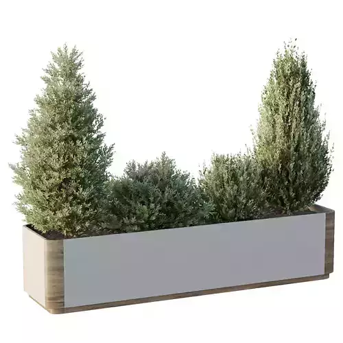 HQ Tree and bush garden box outdoor VOL 56