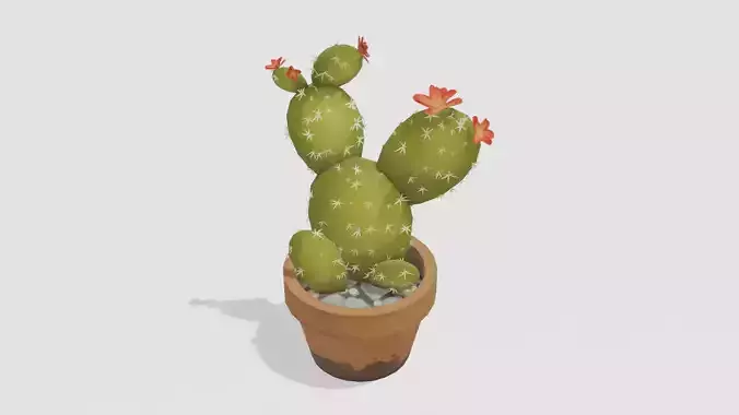 Cactus Pot - Hand Painted