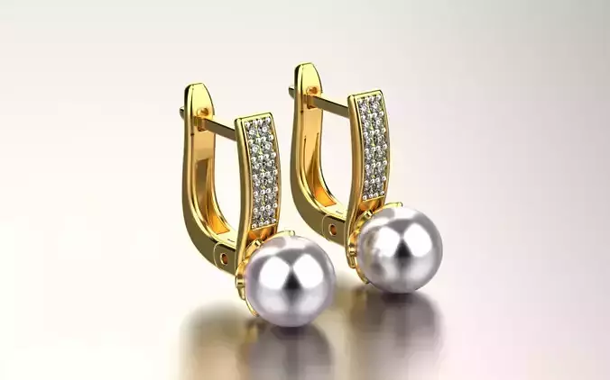 earrings 231123