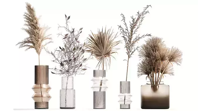 Collection of minimalist bouquets dried flowers pampas vase 323