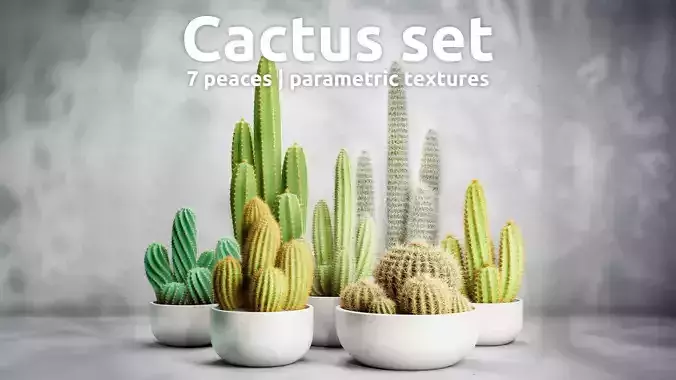 Cactus Set Parametric Textures Realistic 