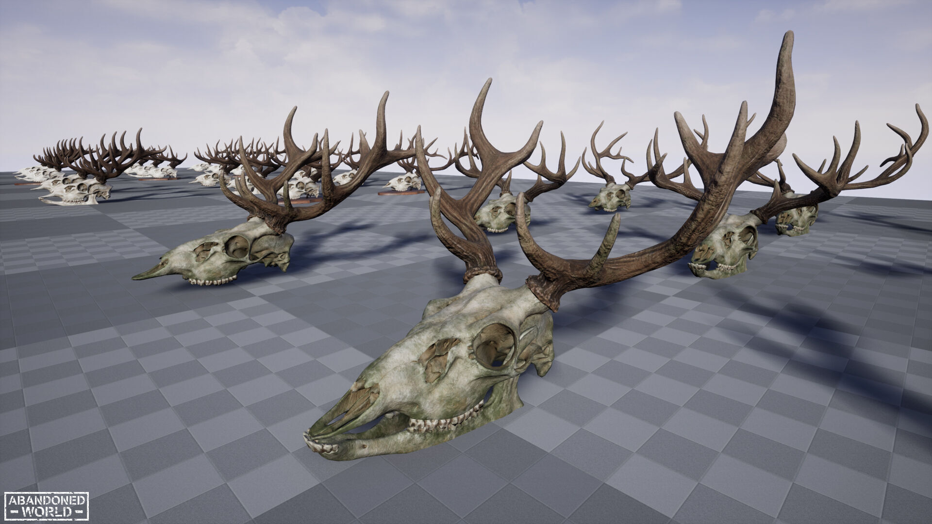 Deer Skull Low-poly 3D model_24