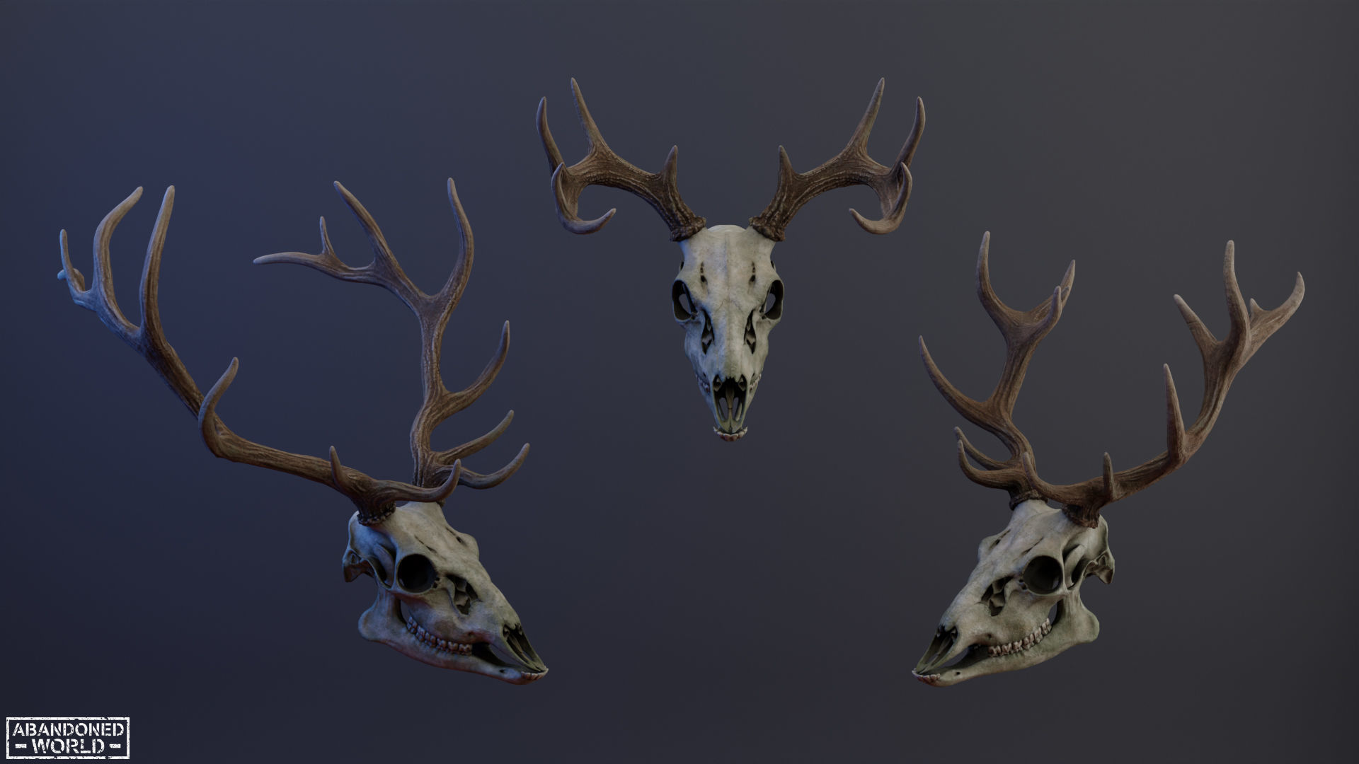 Deer Skull Low-poly 3D model_13