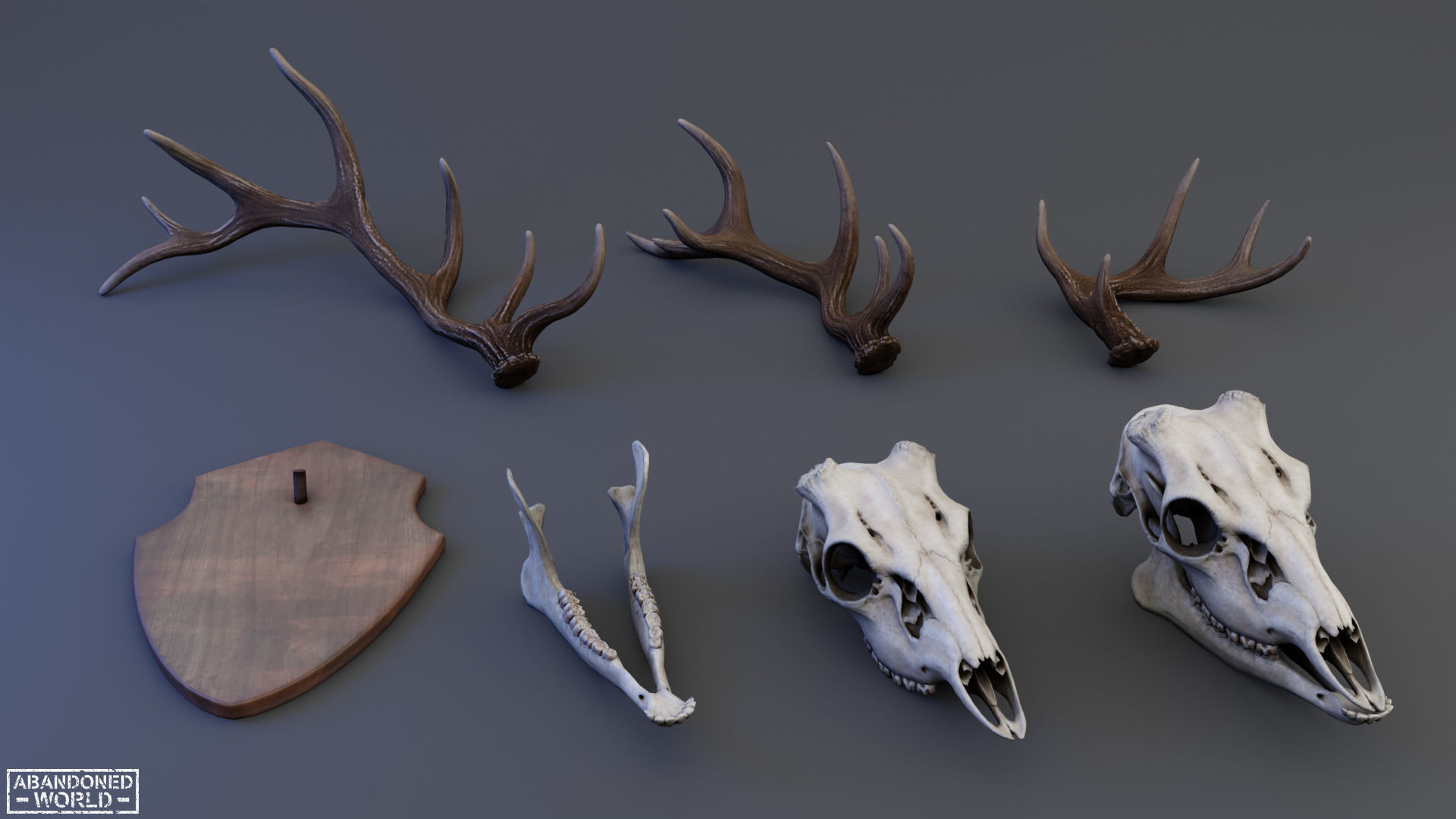 Deer Skull Low-poly 3D model_1