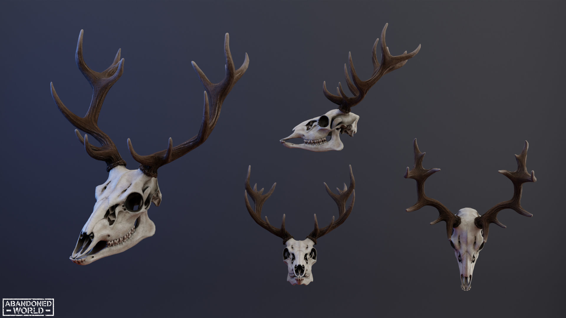 Deer Skull Low-poly 3D model_9