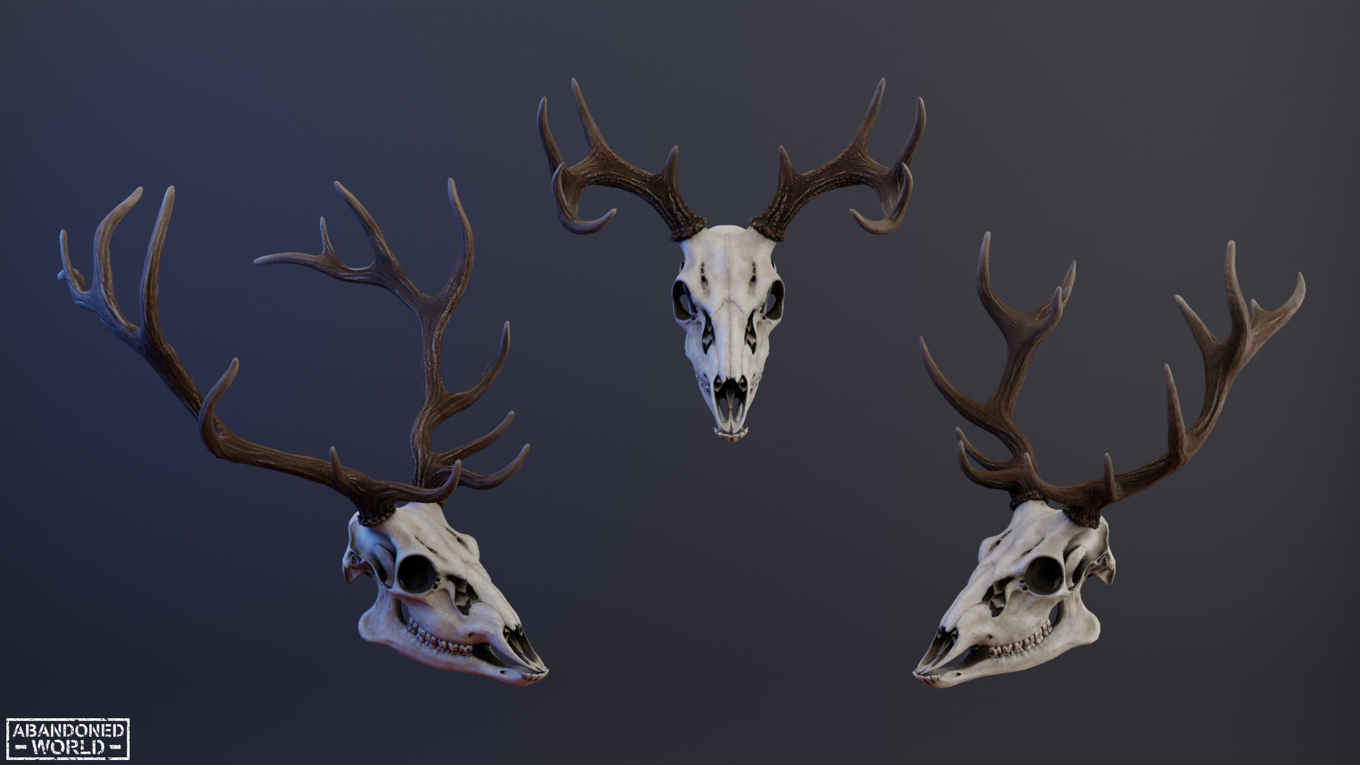 Deer Skull Low-poly 3D model_11
