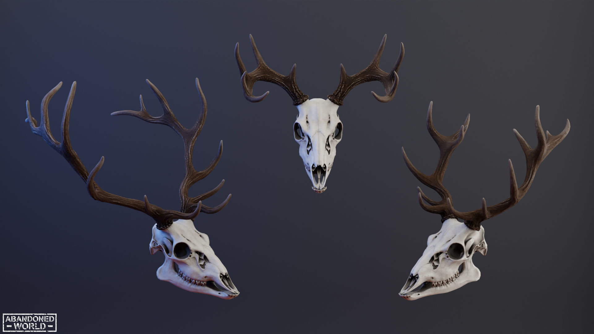 Deer Skull Low-poly 3D model_12